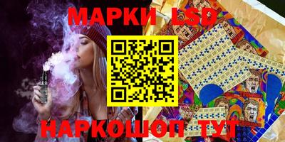 mdpv Краснознаменск