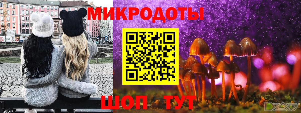 Елизово  Галлюциногенные грибы прущие грибы  Вход с VPN  Псилоцибиновые грибы MAGIC MUSHROOMS 